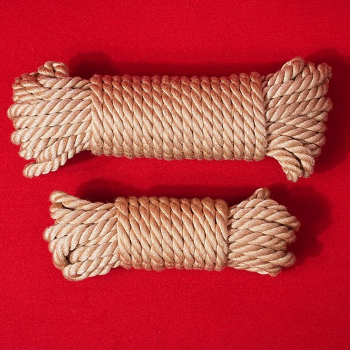 10m restraint japanese - restraint,