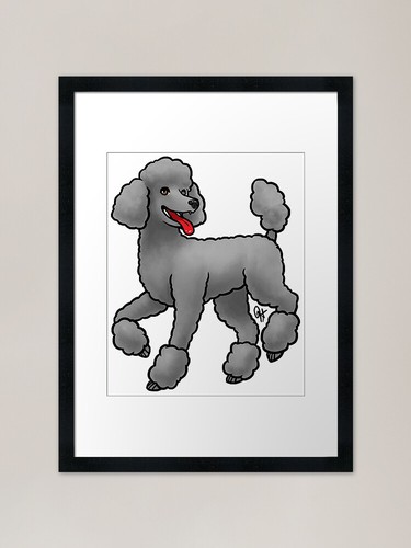Dog standard poodle miami - -,