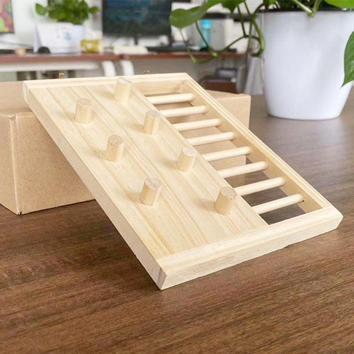 Parrot hamster climbing ladder - hamster,