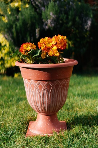 Round plastic plant - round,