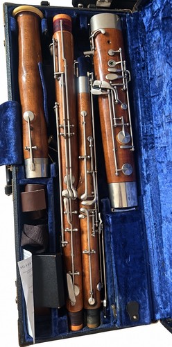 Fox bassoon renard - fox,