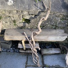Twisted  Driftwood Piece ideal
