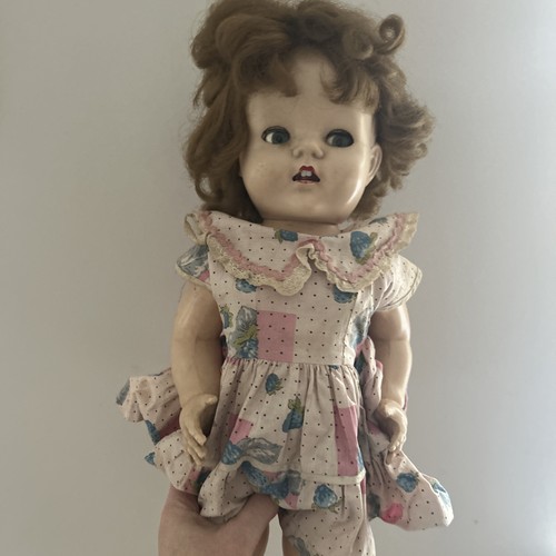 Vintage 1950 pedigree - vintage,