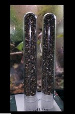 Live Queen Ant Food Jelly