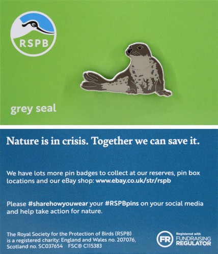 Rspb pin badge - badge, niic