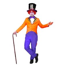 Mad Hatter Mens Fancy Dress