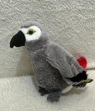 Ravensden small grey parrot