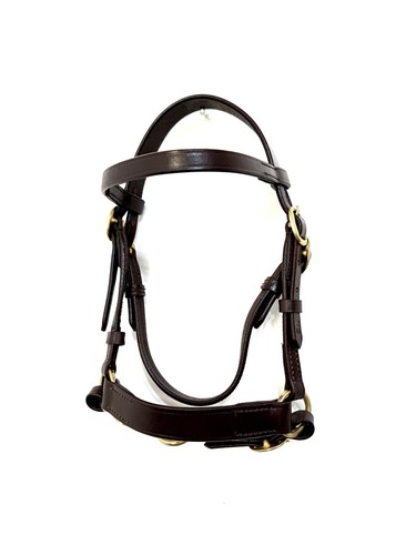 Hand show bridle brown - in-hand,