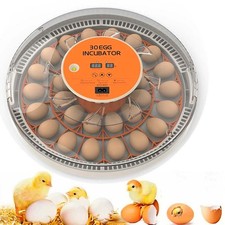 30x Eggs Incubator Temperature