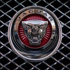 JAGUAR Emblem Front Grille