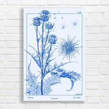 Vintage Botanical Thistle Blue