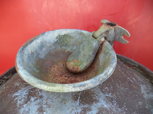 Galvanized cattle drinker - cattle,