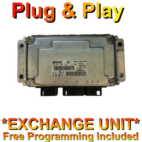 Peugeot ecu 0261207318 - ecu,