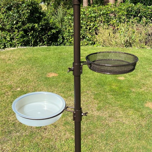Bird feeding station spare - bird,