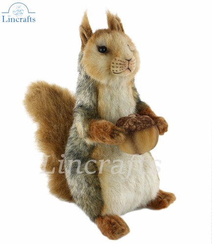Hansa sitting grey squirrel - hansa,