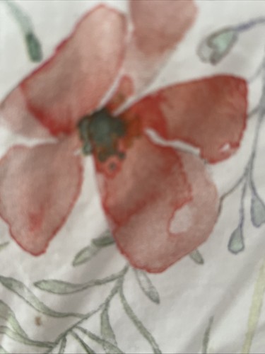 Dorma wildflower king - dorma, size