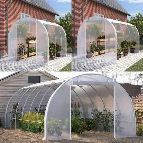 Walk polytunnel greenhouse - in,