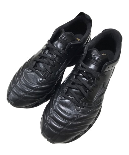 Mizuno wave prophecy morelia - mizuno,