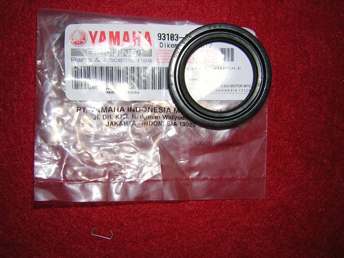 Yamaha tz125 drive side - 94-04,