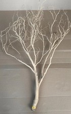 Sand Blasted Manzanita
