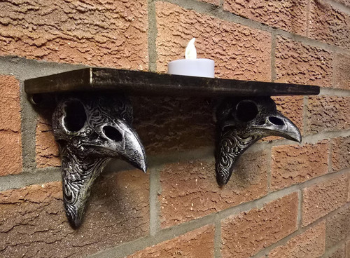 Gothic raven skull - skull, shelf
