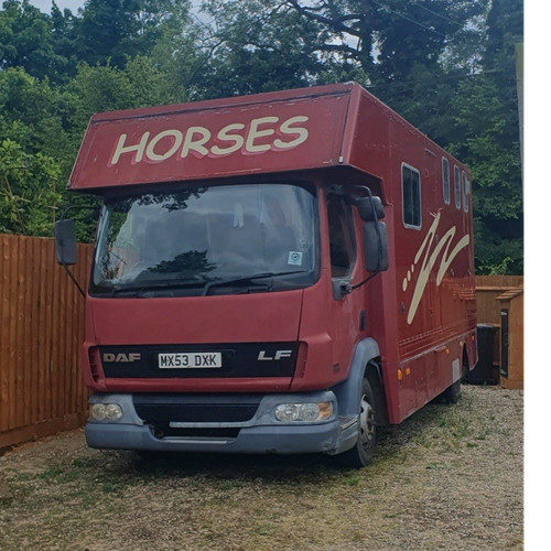 Daf 2003 horsebox - daf,