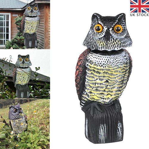 Large realistic owl decoy - realistic,