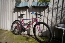 Raleigh Apex 1993 Vintage