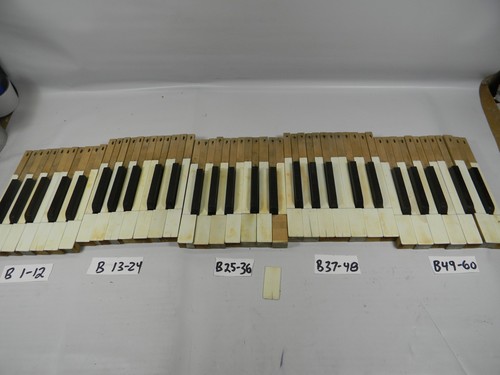 1890s pump organ keys - 1890s,
