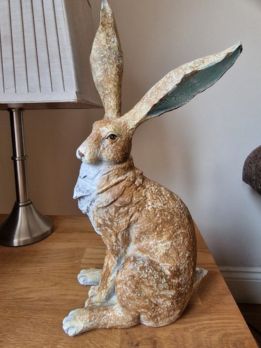 Large sitting hare rabbit - hare,