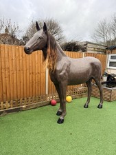 Life Size Horse