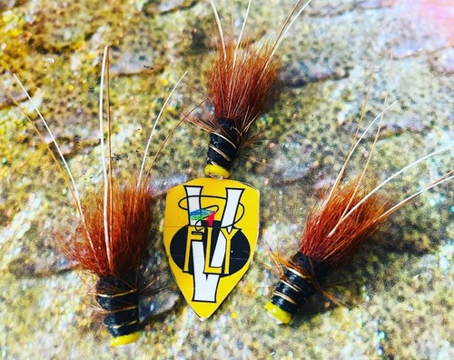 Fly 4 inch - v,