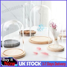 Clear Glass Display Dome Bell