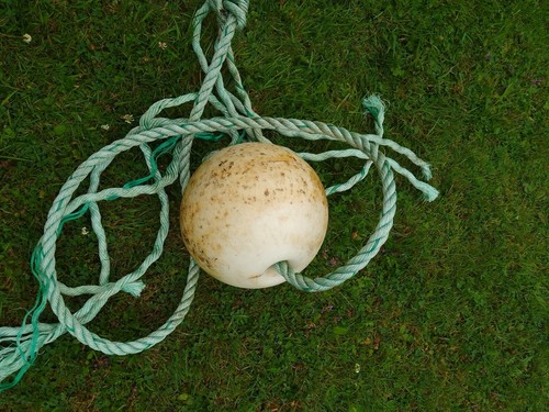 Lobster crab pot buoy - lobster,