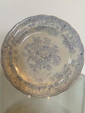 asiatic pheasant plate