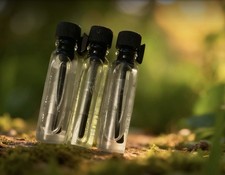 Arabic Concentrated Perfume