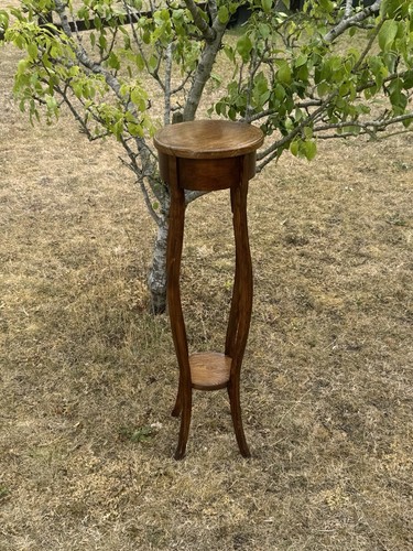 Antique edwardian plant stand - antique,