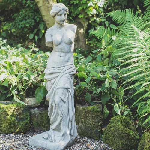 Classic large venus - classic, milo