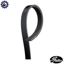 VRIBBED BELT 4PK928 FOR