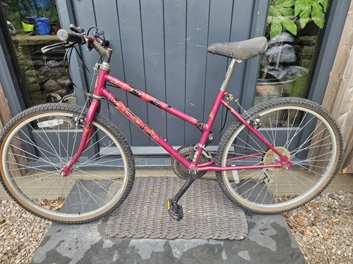 Vintage raleigh camaro 15 - camaro,