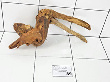 Aquarium Natural Wood