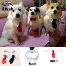 Grooming Tuxedo Bow Ties Dog