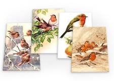 Robins Robin Red Breast Bird