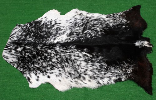 Luxury goat hide - goat, hair