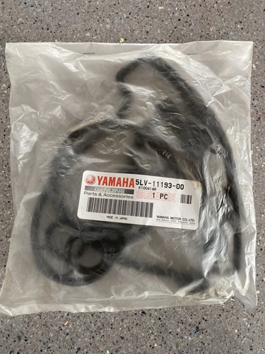 Genuine yamaha fzs 1000 fazer - genuine,