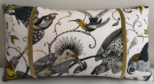 Emma shipley audubon gold - shipley,