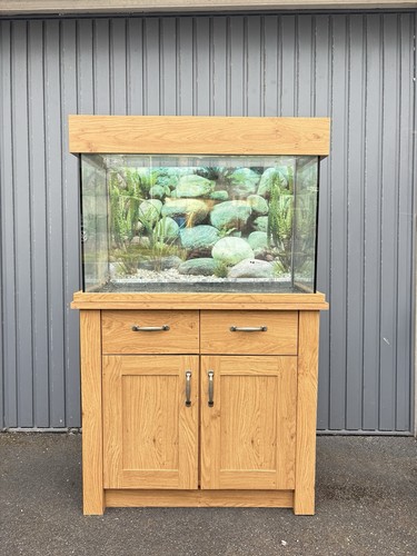 Aqua oneoakstyle 145l - aqua,