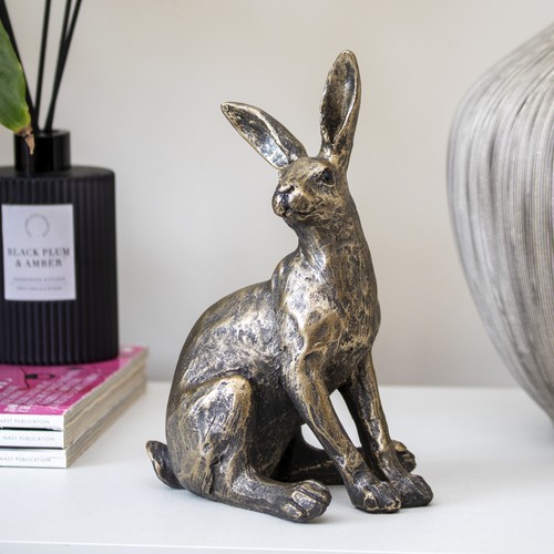Gold sitting march hare - sitting,