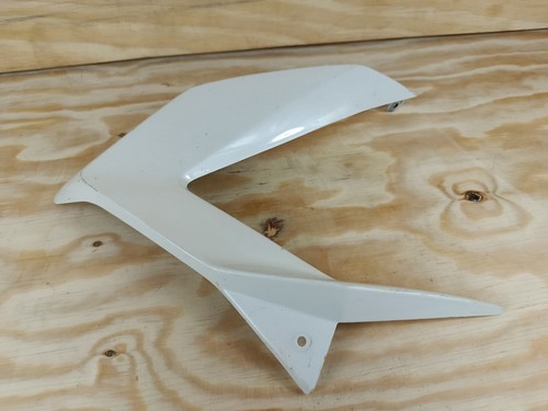 Kawasaki panel fairing - kawasaki,