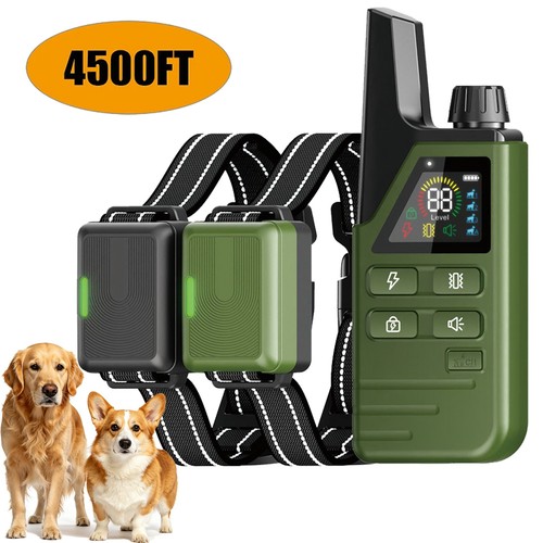 4500ft dog shock training - dog,